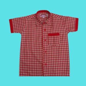 HALF SHIRT 26 SATKAR