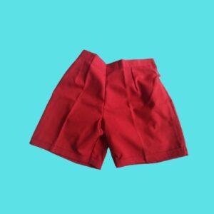 HALF PANT 26 SATKAR