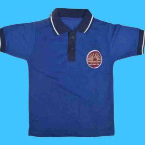 Neocardin Polo T-Shirt, Blue with Navy Blue Collar, Short Sleeve Boys and Girls size-24, for 2-3 years old